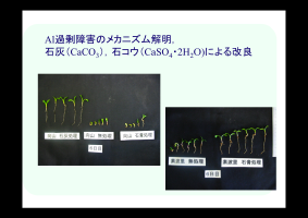 lecture1-10.png